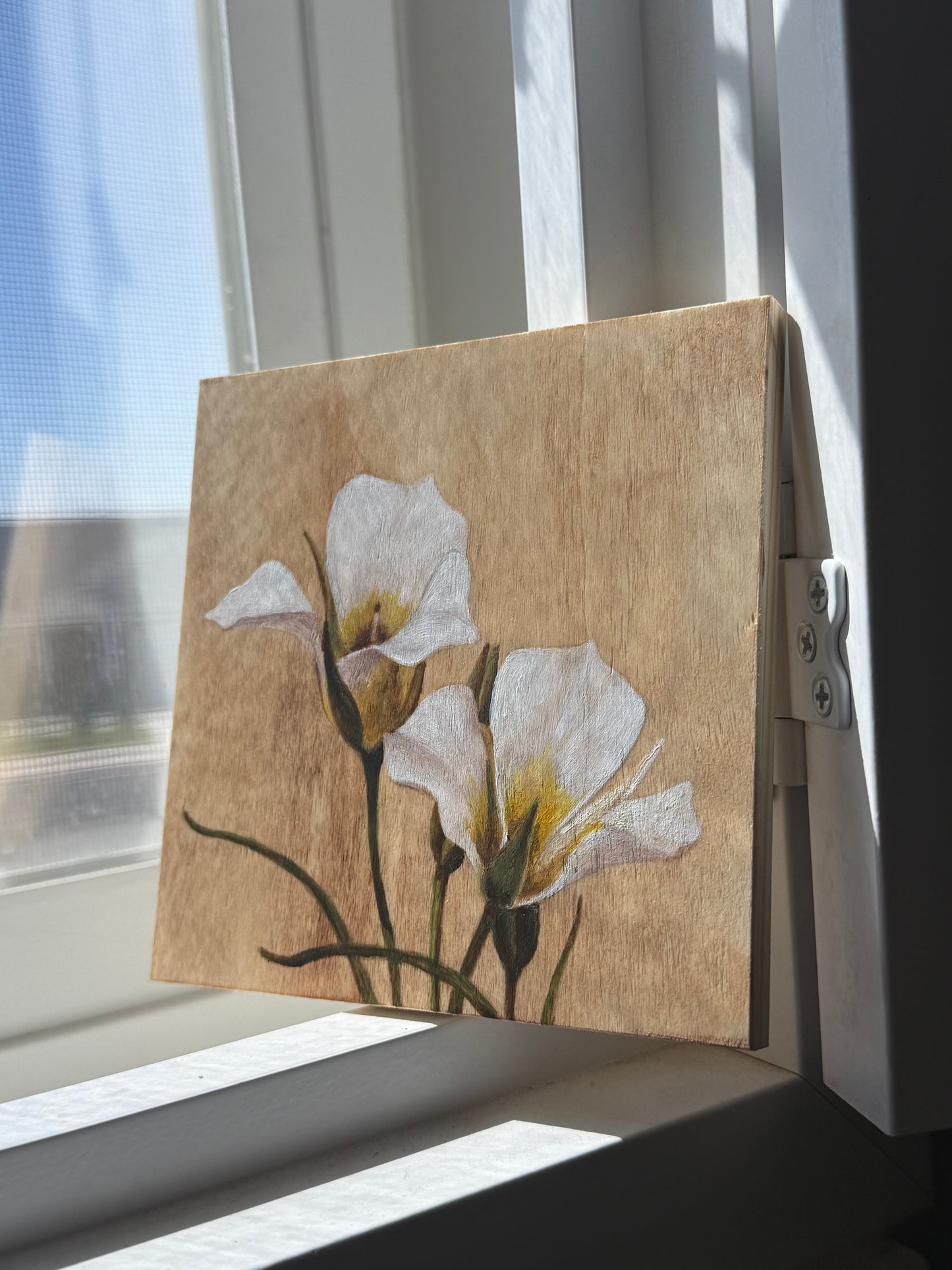 Sego Lilies N.1
