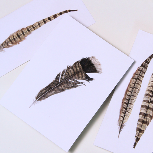 Pheasant Feather No.2