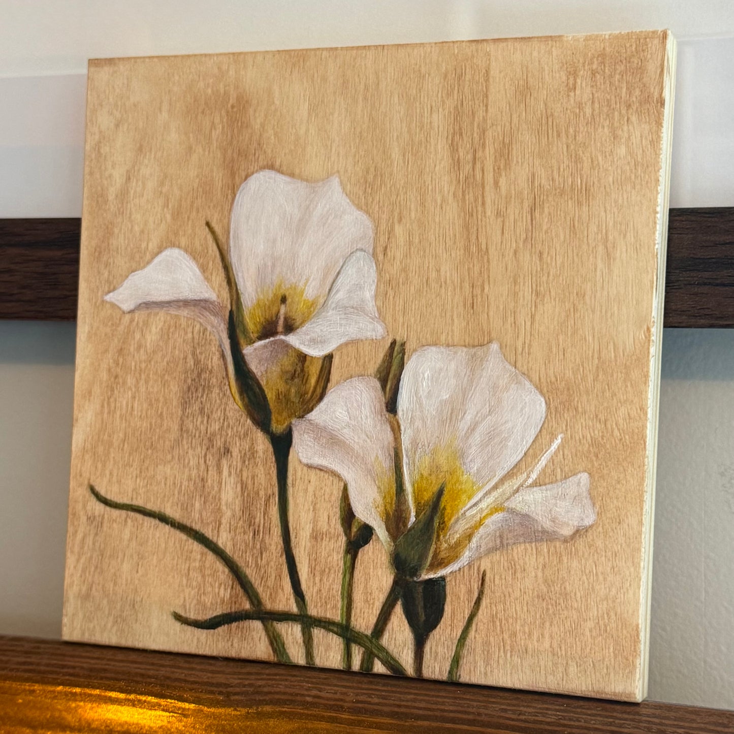Sego Lilies N.1