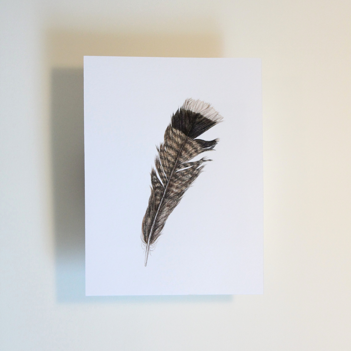 Turkey Feather No. 1