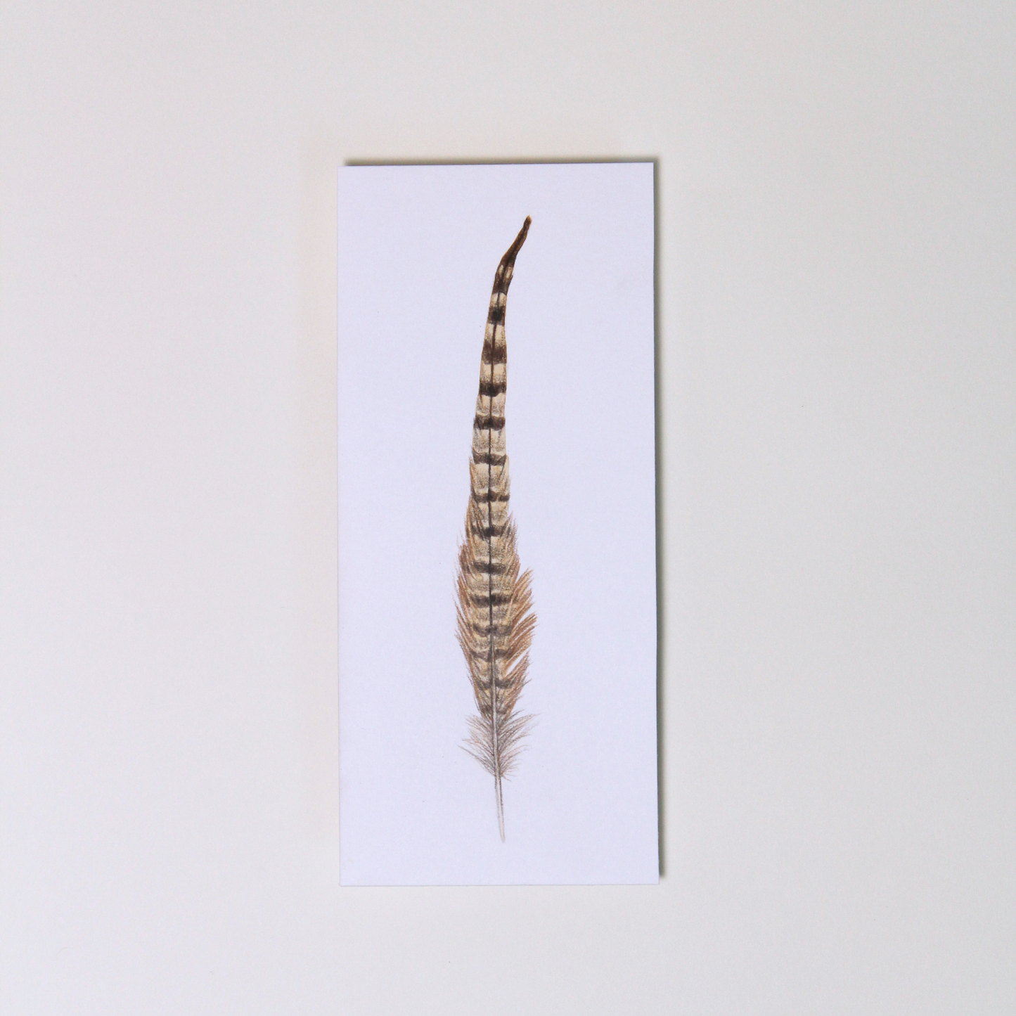 Pheasant Feather No.1