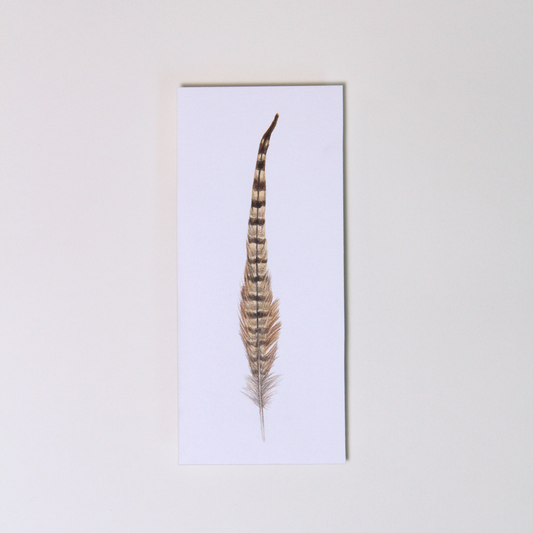 Pheasant Feather No.1