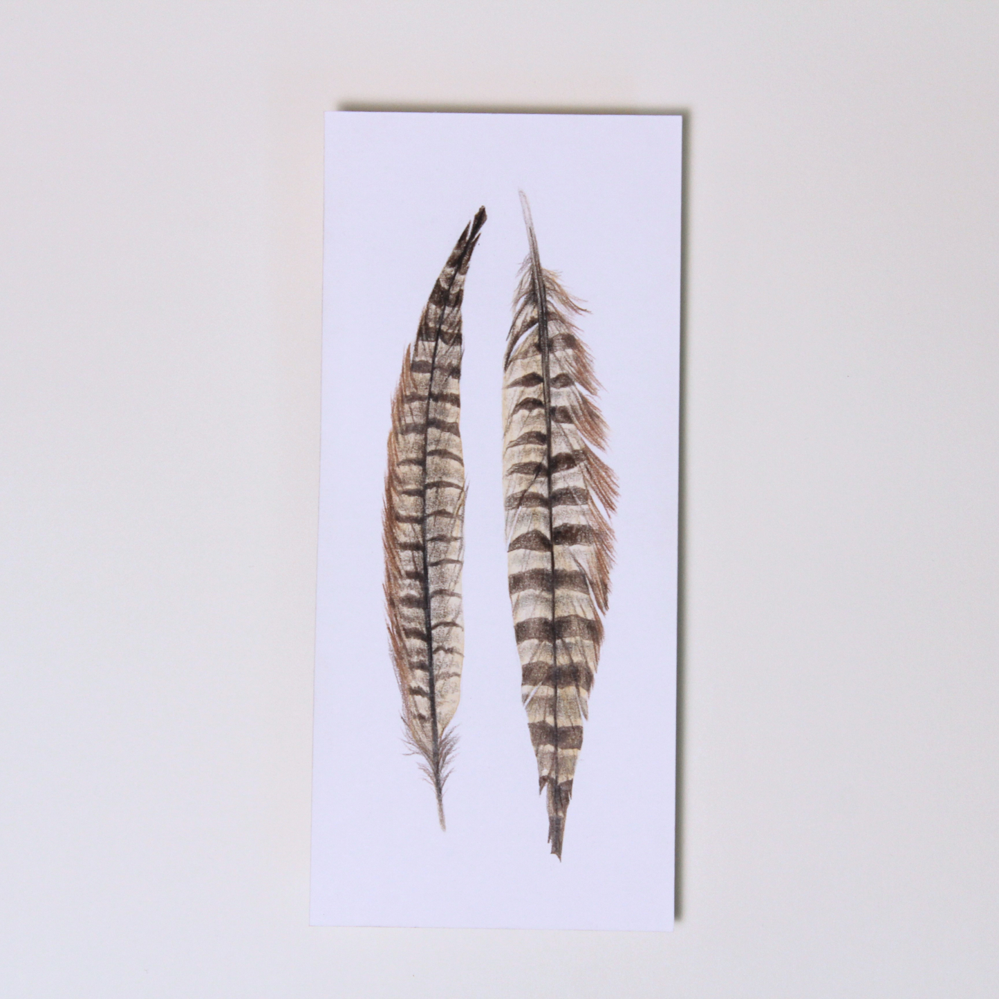 Pheasant Feather No.2