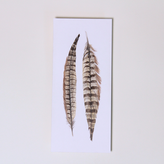 Pheasant Feather No.2