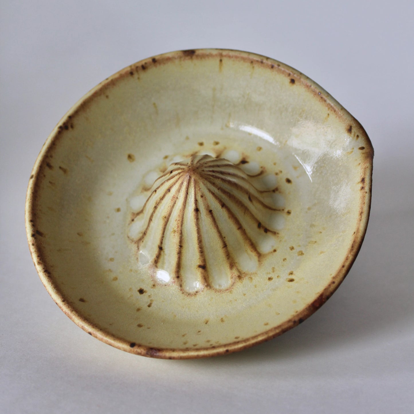 Speckled Stoneware Citrus Juicer