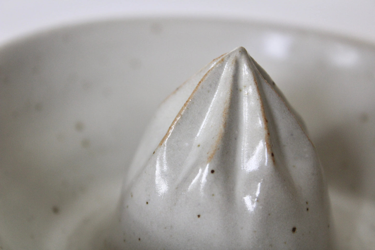 Green & White Stoneware Citrus Juicer